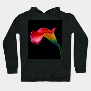 Bold Graphic Red Calla Lily Hoodie